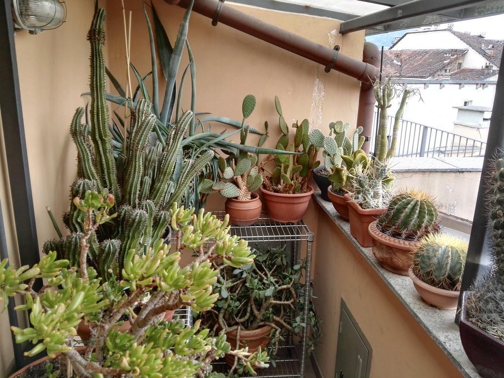 都灵A Casa Di Gio住宿加早餐旅馆 外观 照片